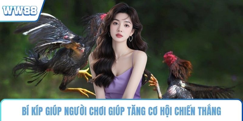 Bí kíp giúp người chơi giúp tăng cơ hội chiến thắng