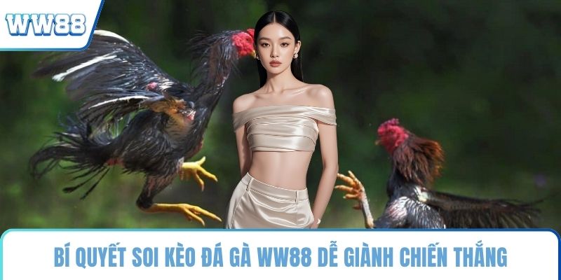 Bí quyết soi kèo đá gà WW88 dễ thắng