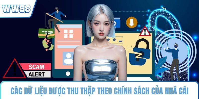 Các dữ liệu được thu thập theo chính sách của nhà cái
