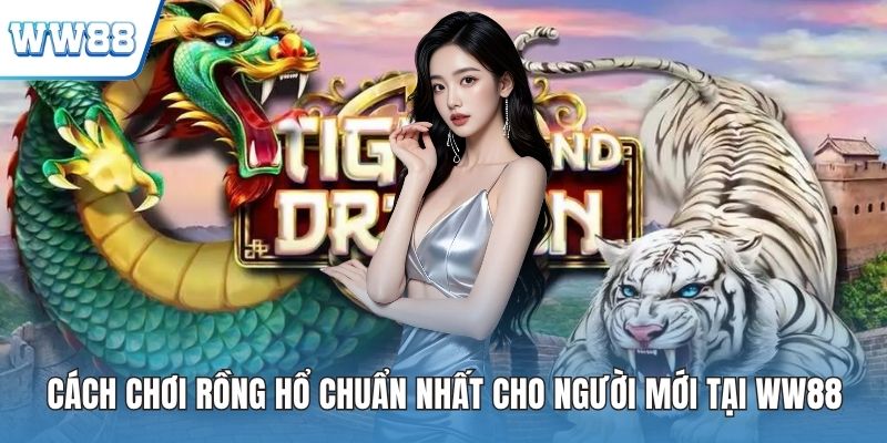 Cách chơi rồng hổ