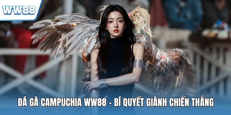 Đá gà campuchia