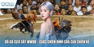 Đá gà cựa sắt