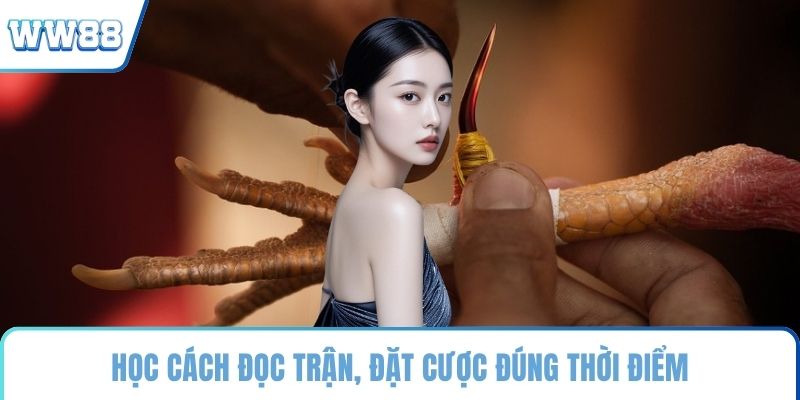 Học cách đọc trận, đặt cược đúng thời điểm