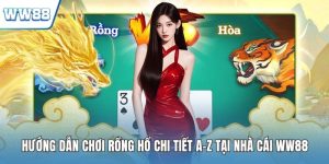 Hướng dẫn chơi rồng hổ