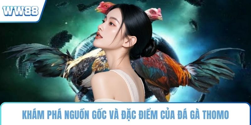 Khám phá nguồn gốc và đặc điểm của đá gà Thomo