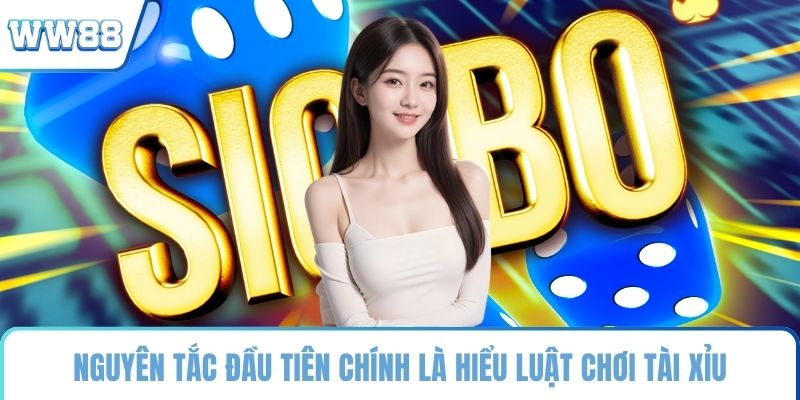 Nguyên tắc đầu tiên chính là hiểu luật chơi tài xỉu