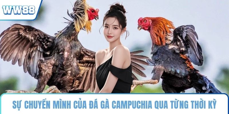 Sự chuyển mình của đá gà Campuchia qua từng thời kỳ