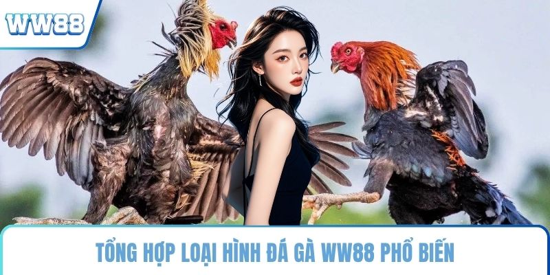 Tổng hợp loại hình đá gà WW88 phổ biến