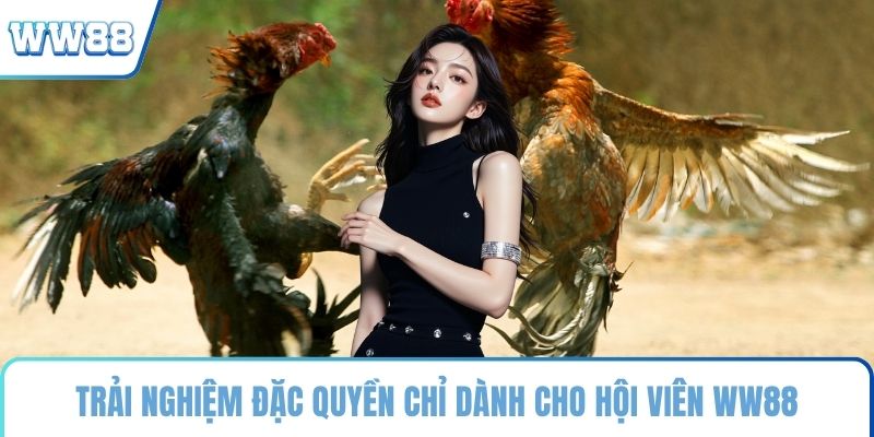 Trải nghiệm đặc quyền chỉ dành cho hội viên WW88